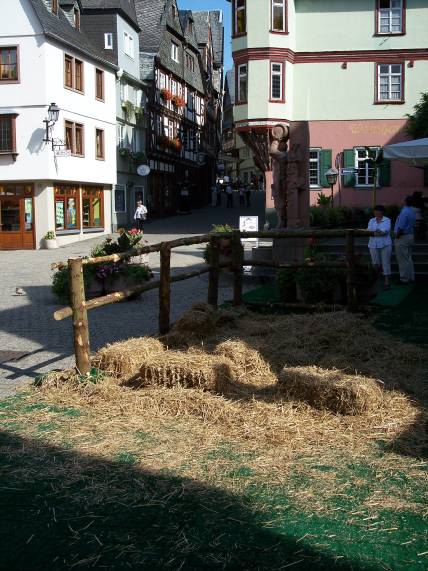 Kunstrasen in Limburg