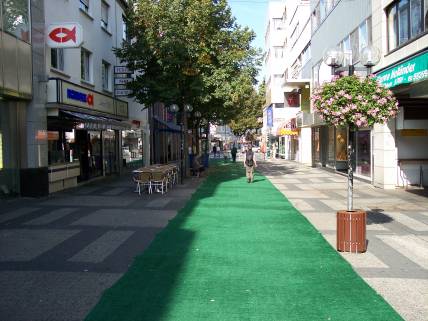 Kunstrasen in Limburg